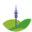 custom_website